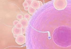 2021廣州三代試管嬰兒醫(yī)院排行榜一覽