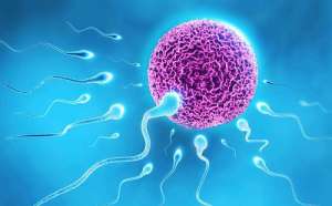 2022三代試管嬰兒流程及時(shí)間一覽