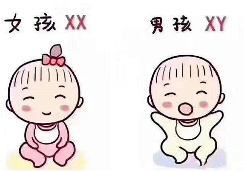現(xiàn)在泰國試管多少錢