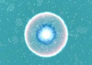 為什么泰國第三代試管嬰兒的費(fèi)用這么高