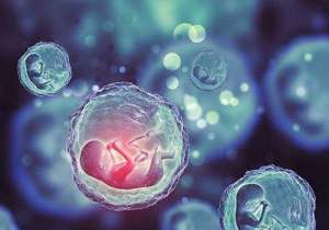 泰國第三代試管嬰兒費(fèi)用相關(guān)介紹