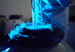 冬天做三代試管嬰兒成功率高么