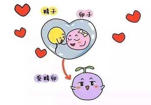 泰國第三代試管嬰兒技術(shù)優(yōu)勢好處是什么