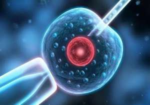 試管嬰兒需要多少錢