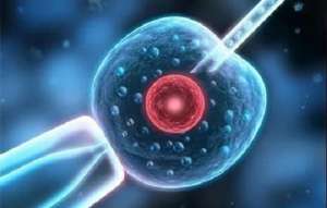 試管嬰兒精子檢查多少錢呢