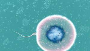 俄羅斯試管嬰兒和正常的嬰兒有區(qū)別嗎？