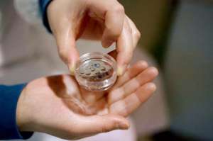 美國(guó)拿別人精子做試管嬰兒價(jià)格是多少