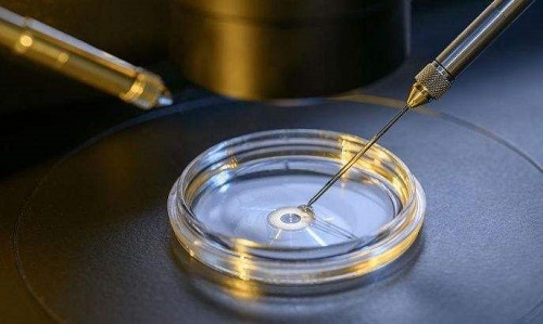 試管嬰兒第三代可以選擇嗎