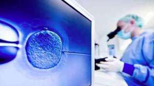 第三代試管嬰兒可以?