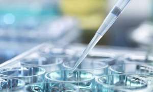 國(guó)內(nèi)三代試管的費(fèi)用有多少呢?