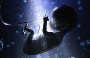 一次試管嬰兒總費(fèi)用是多少