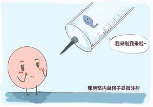 試管嬰兒能決定嗎