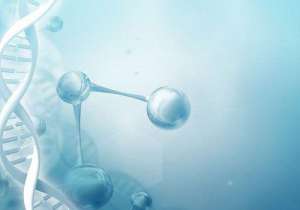 做試管嬰兒的全過程是什么?