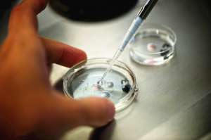 做三代試管嬰兒最好醫(yī)院排名有嗎