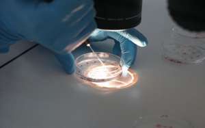 泰國做試管嬰兒要多久