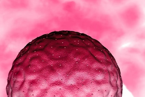 泰國試管的價格貴嗎