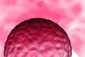 泰國試管的價格貴嗎