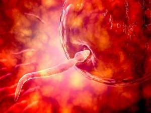 一次試管嬰兒多少錢