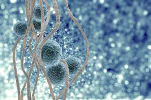 俄羅斯試管嬰兒的主要流程有哪些