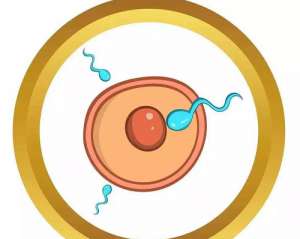 為什么泰國三代試管價(jià)格那么貴