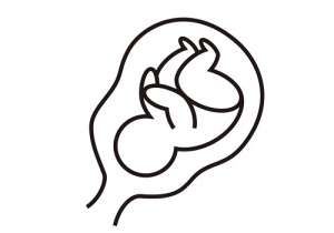 做試管嬰兒大概需要花多少錢