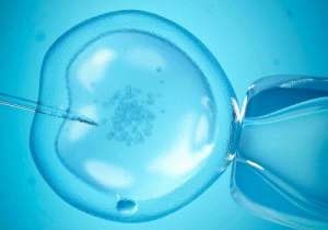 試管嬰兒價格一般要多少錢