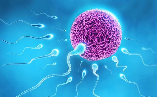 第三代試管嬰兒大概費(fèi)用與明細(xì)