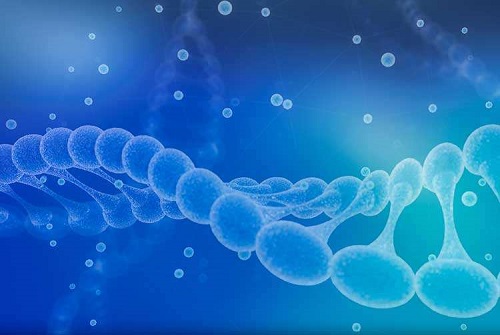 去美國進行試管嬰兒前的準(zhǔn)備