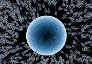 選擇試管醫(yī)院的參考條件