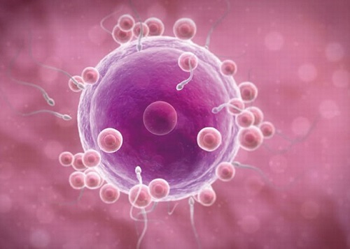 泰國做試管嬰兒費用大概是多少錢