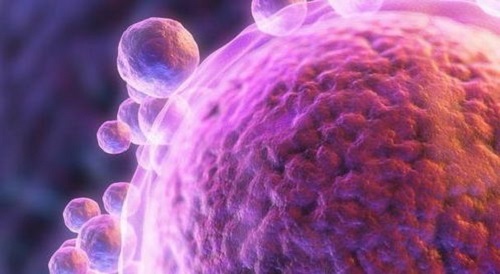 泰國(guó)試管嬰兒總費(fèi)用多少