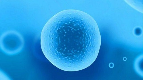 泰國做第三代試管要多少錢