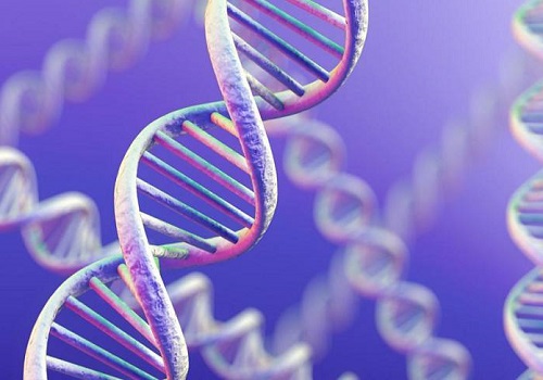 俄羅斯試管嬰兒前如何挑選中介