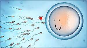 俄羅斯試管嬰兒中介哪家便宜